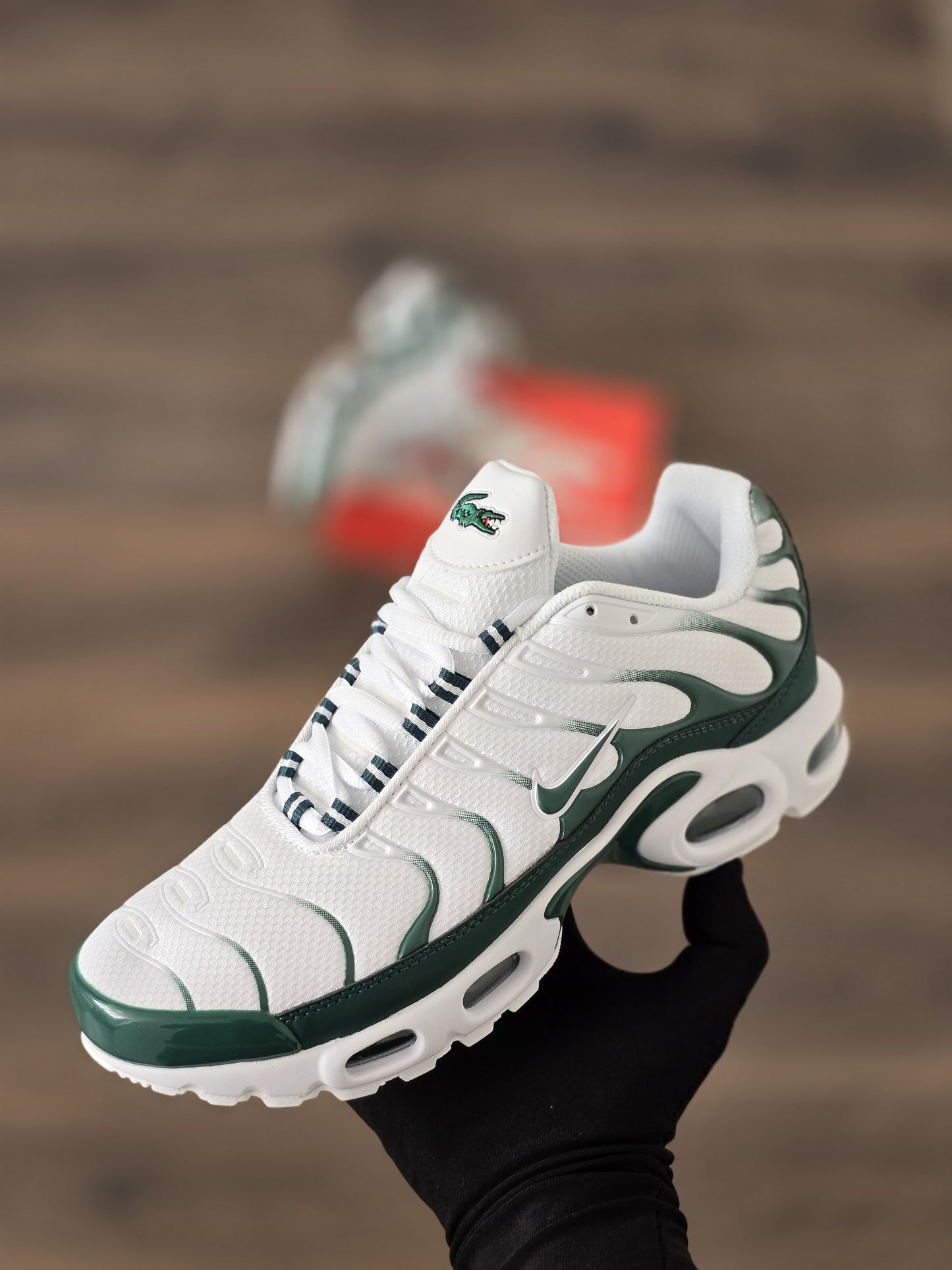 Tn lacoste