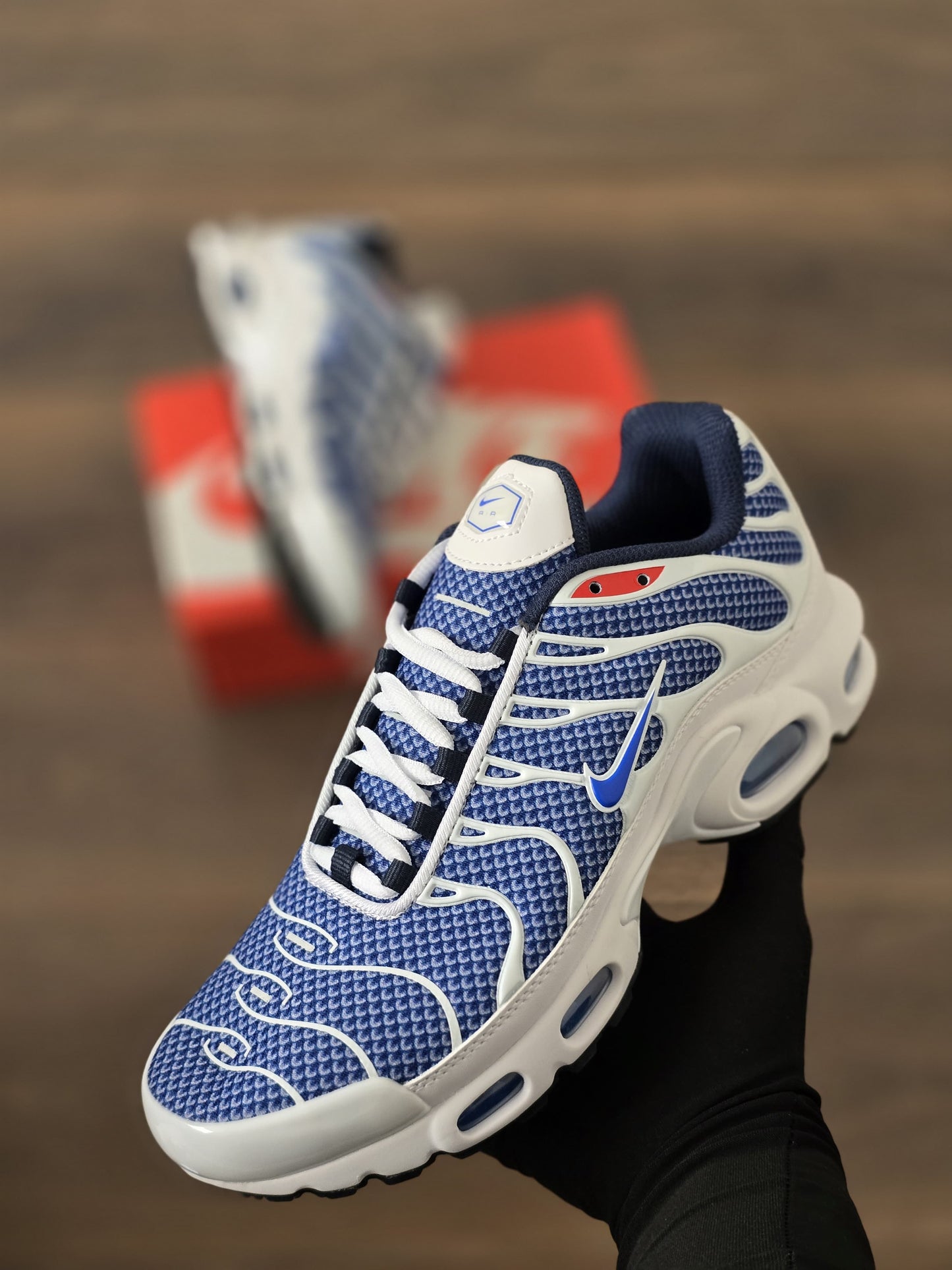 Tn azul con blanco new