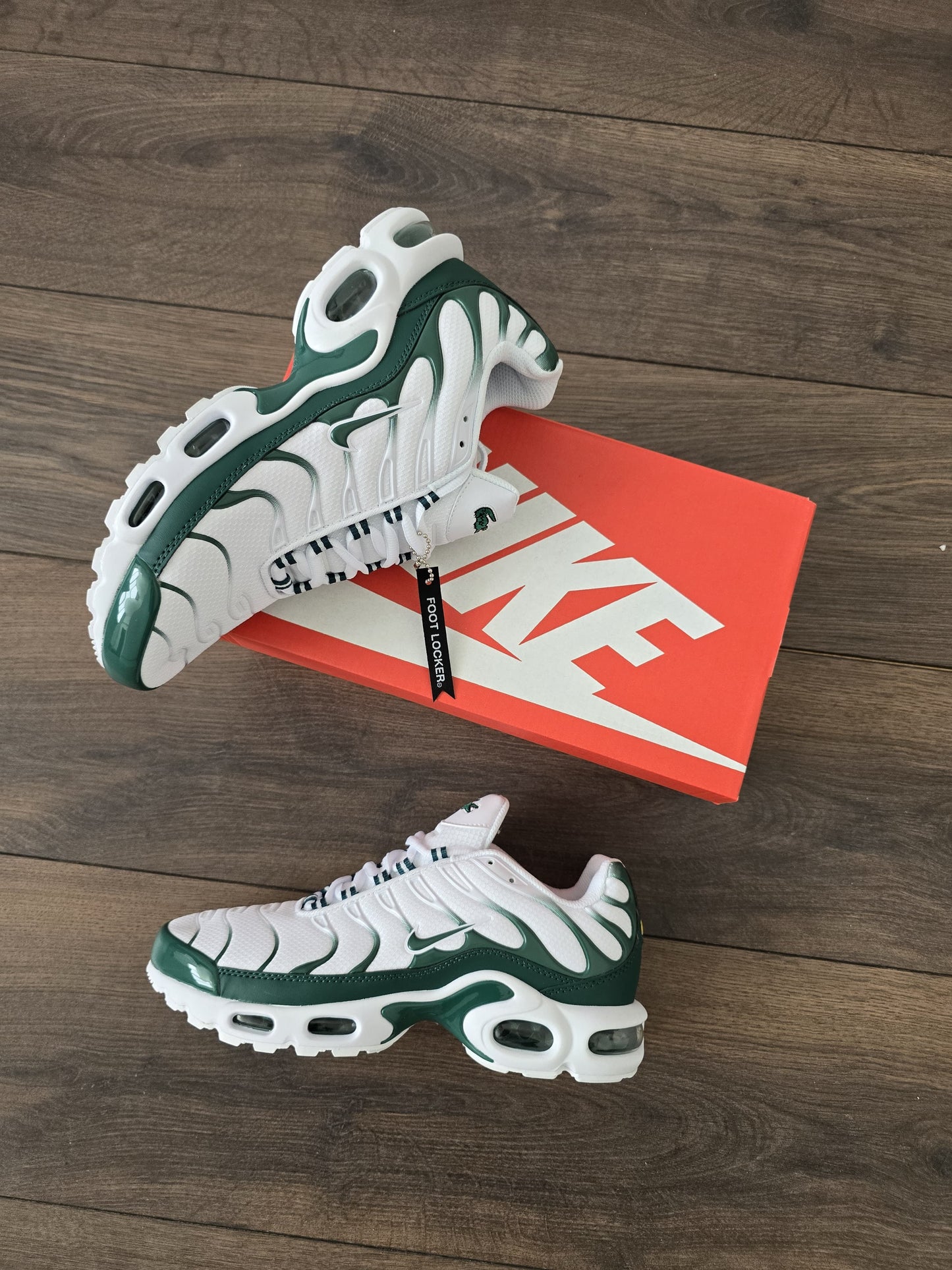 Tn lacoste