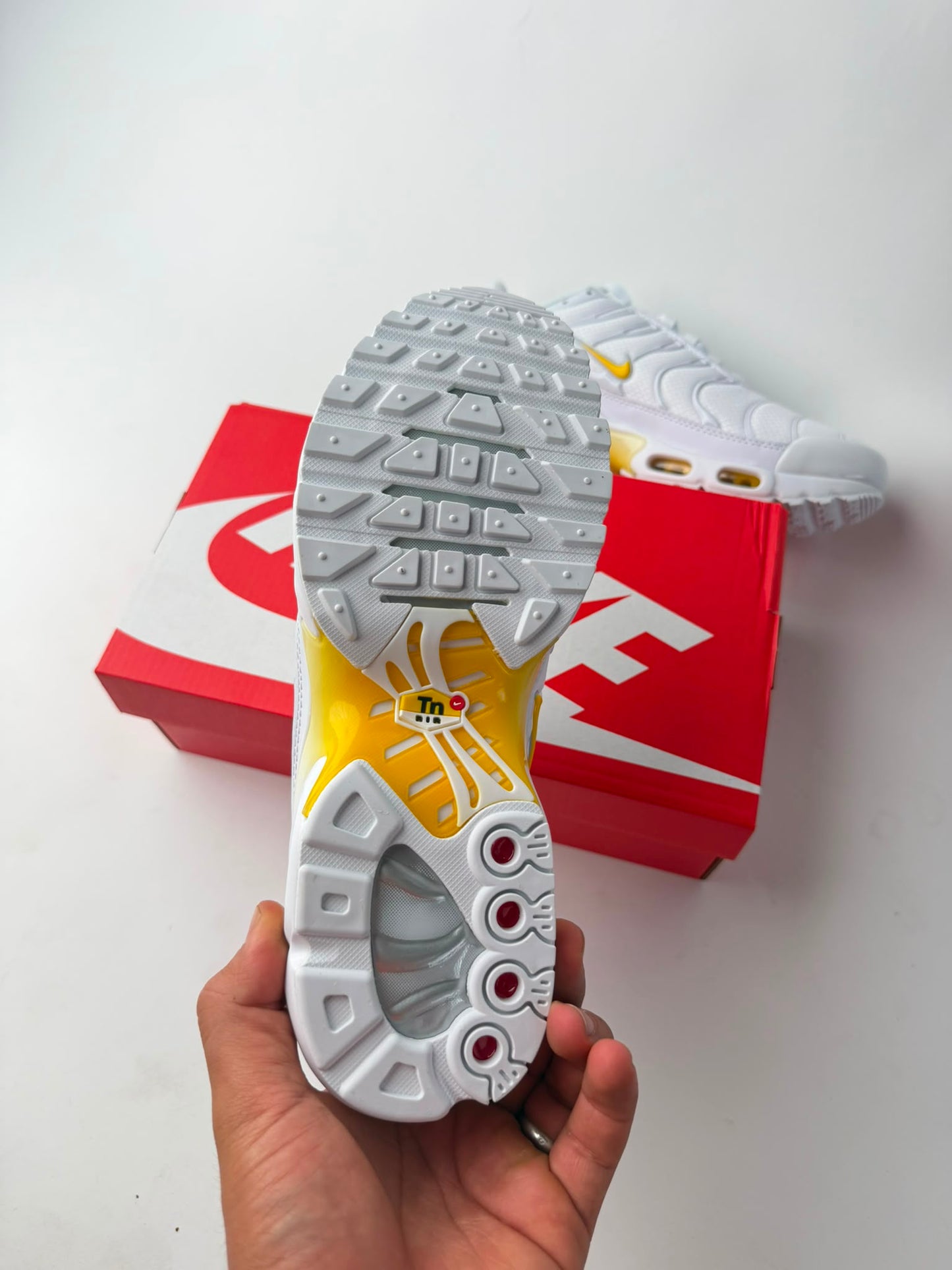 Tn blancas logo amarillo
