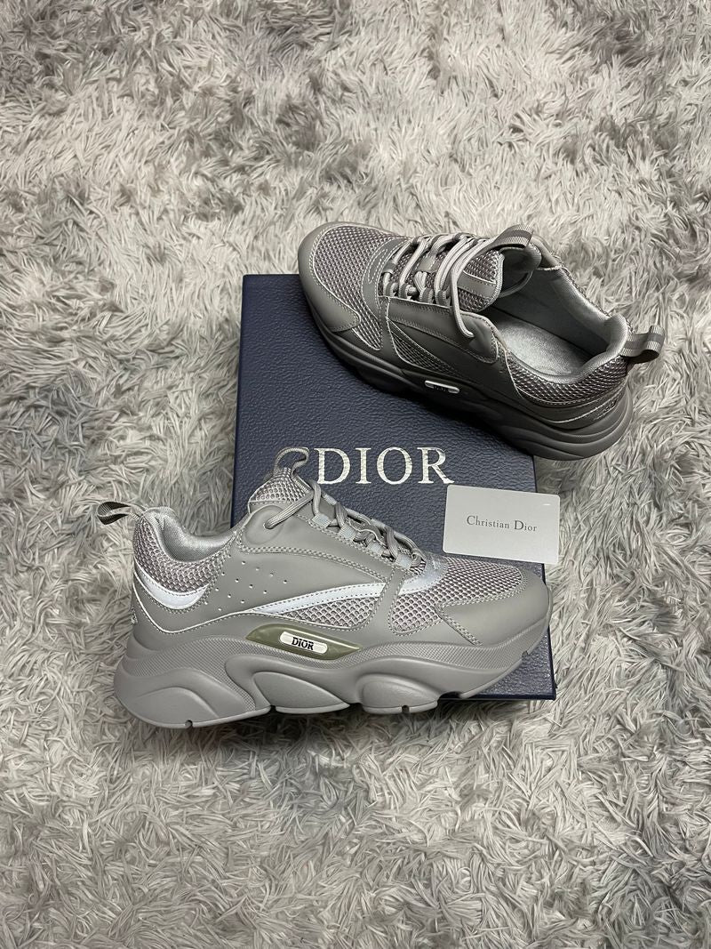Dior b22 grises