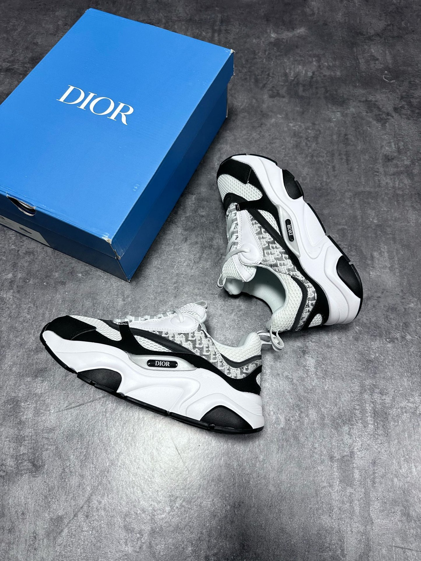 Dior b22 blancas y negras logo gris