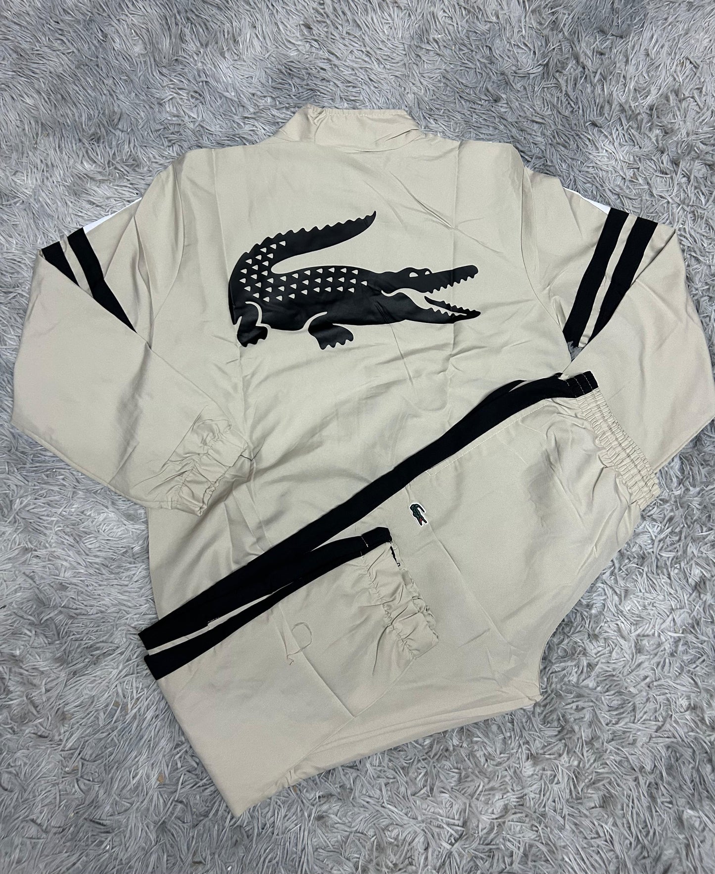 Chandal lacoste beige logo verde detalles negros y blancas