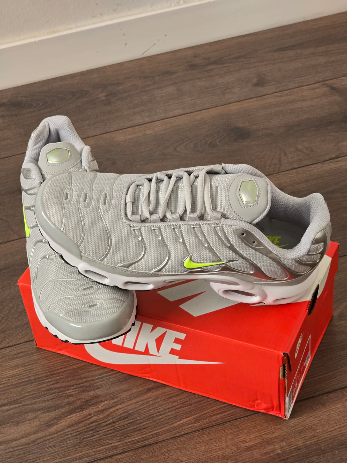 Tn gris logo verde