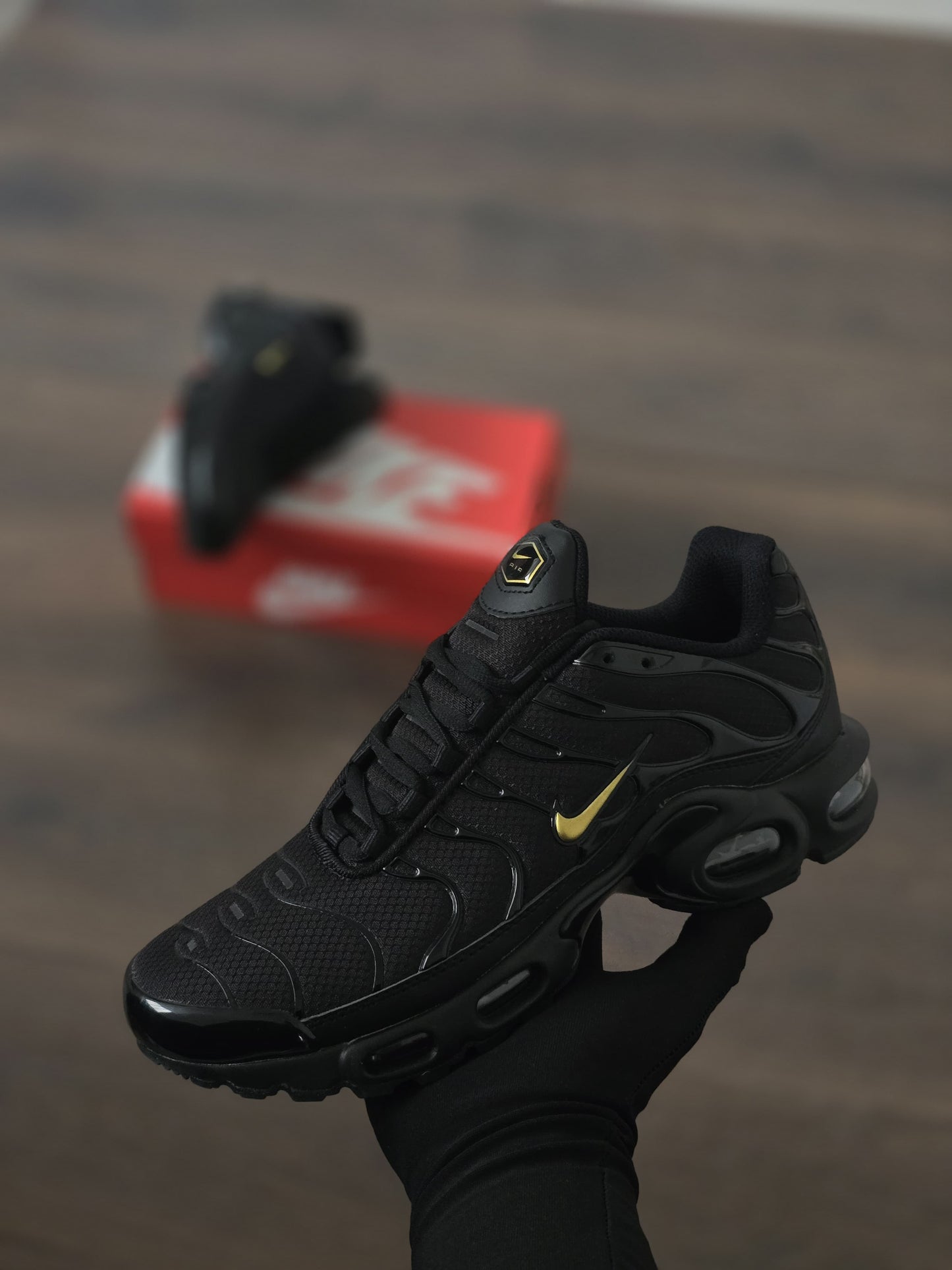 Tn negra logo oro