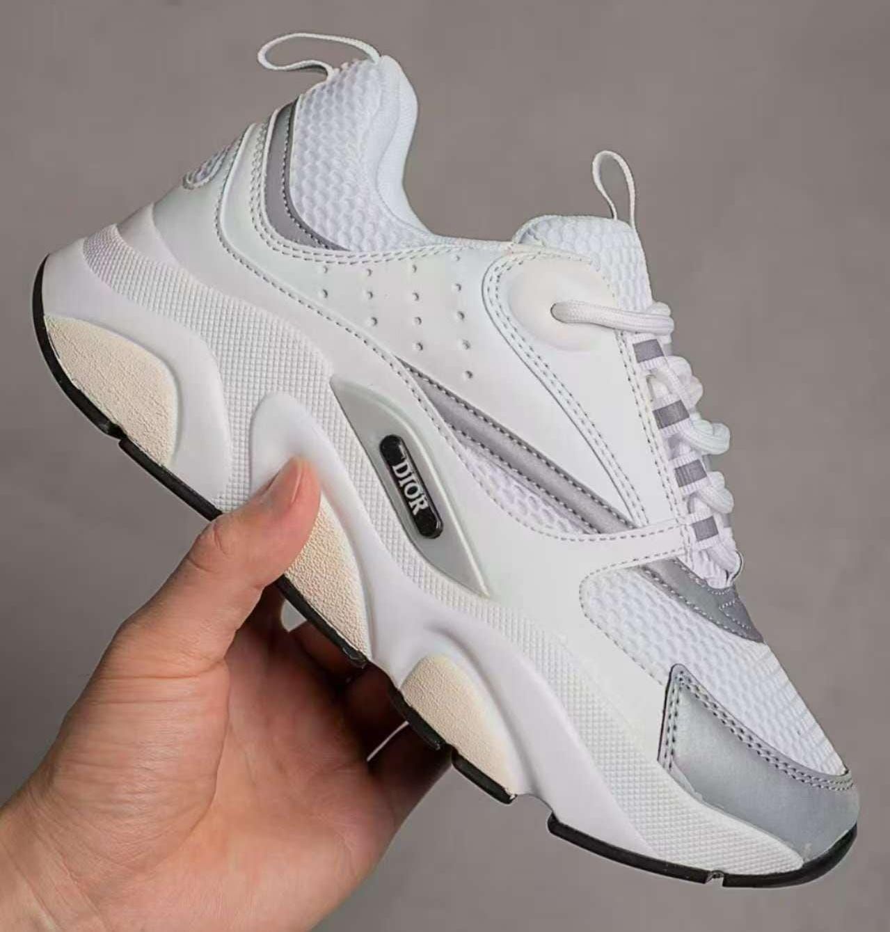 DIOR B22 blancas y grises