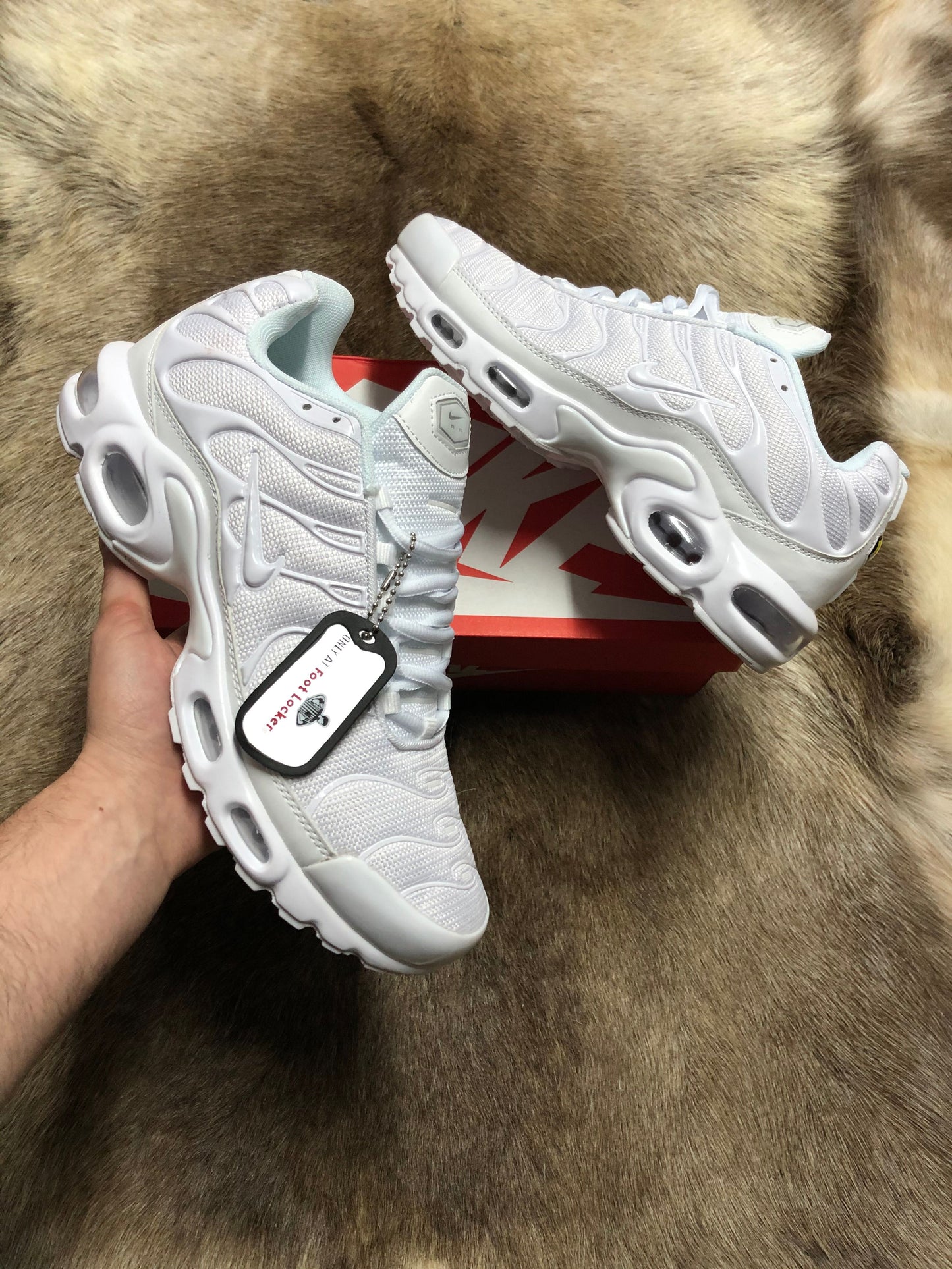 TN BLANCAS