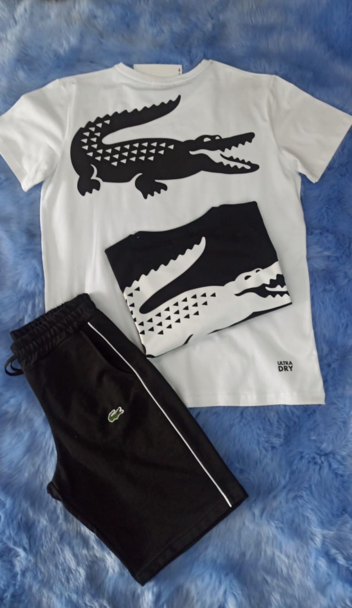 Conjunto verano LACOSTE blanco logo negro