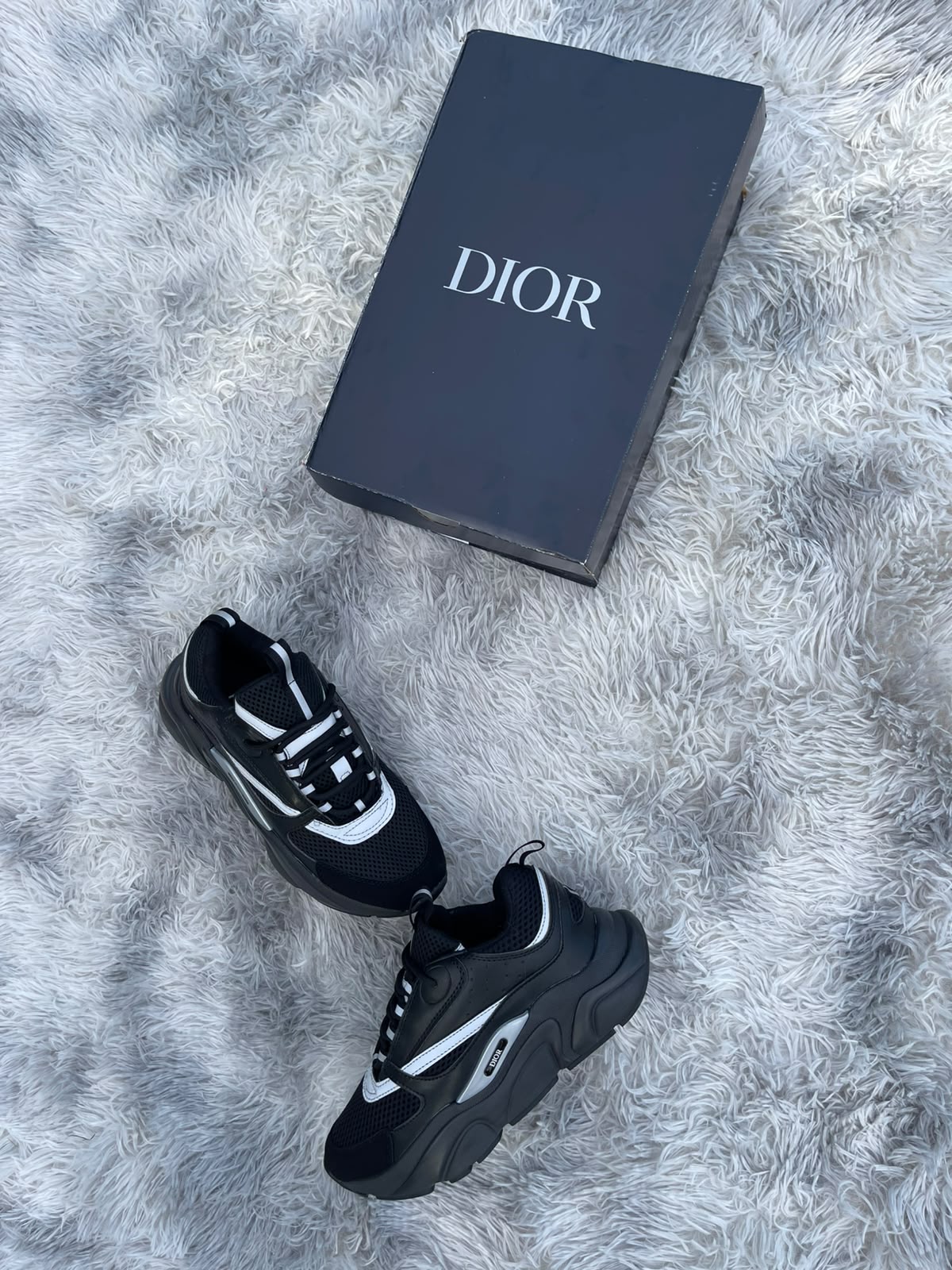 Dior b22 negras