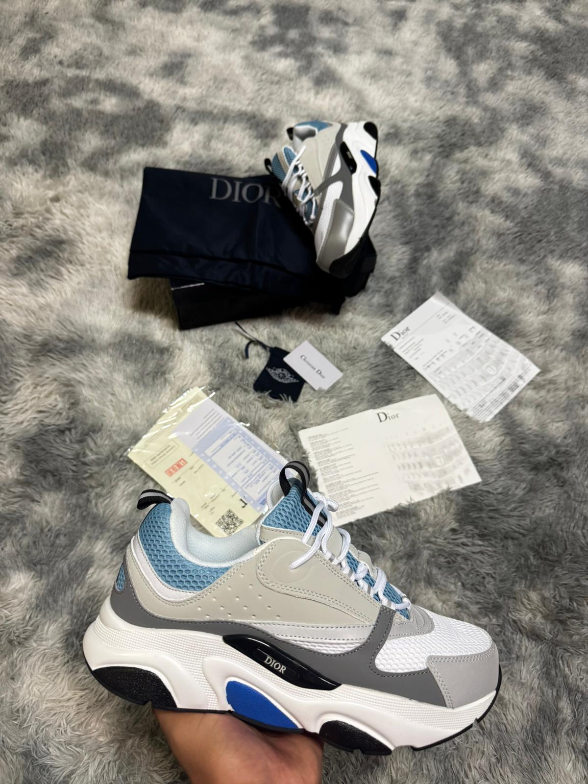 Dior b22 grises y azules detalles blancos