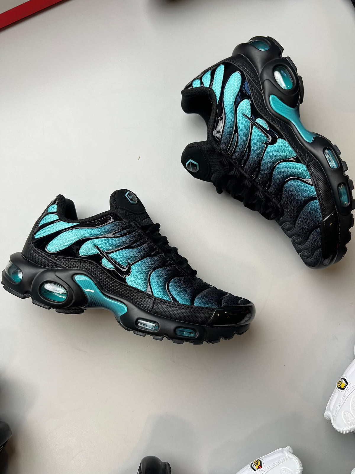 NIKE TN negras y azules