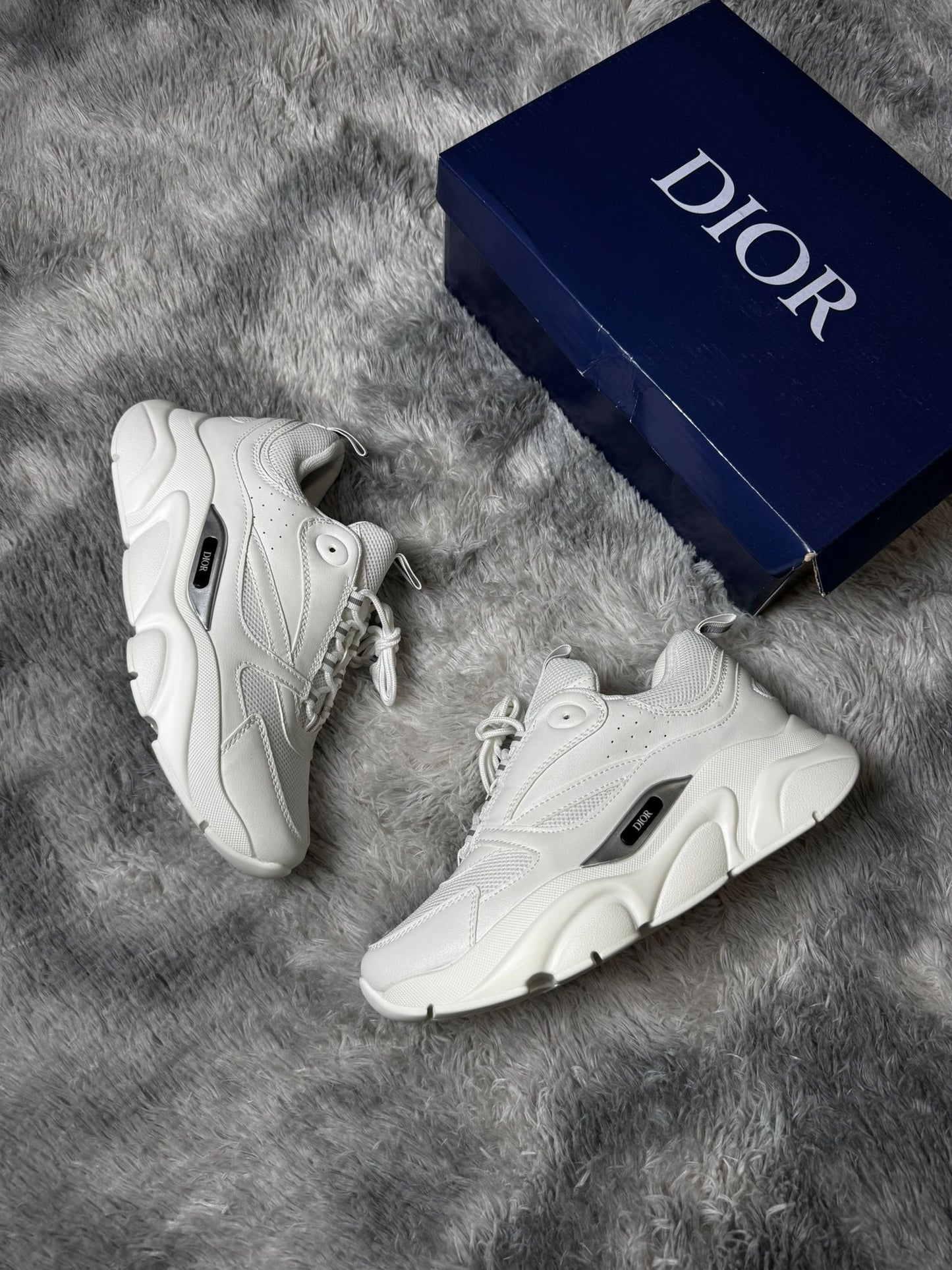 Dior b22 blancas logo negro y gris