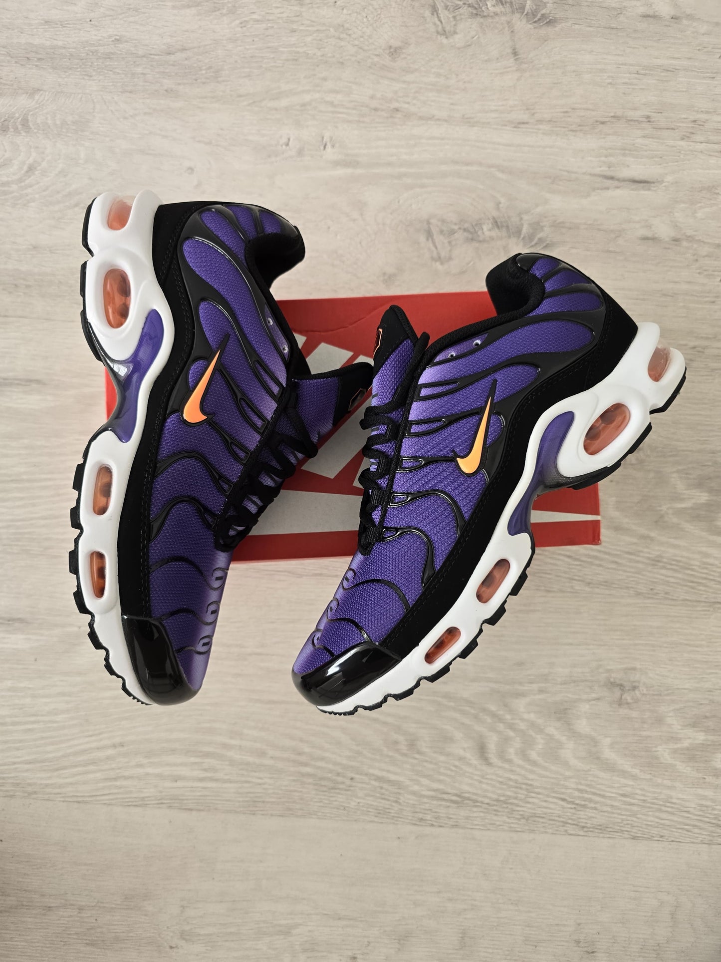 Tn morado logo naranja