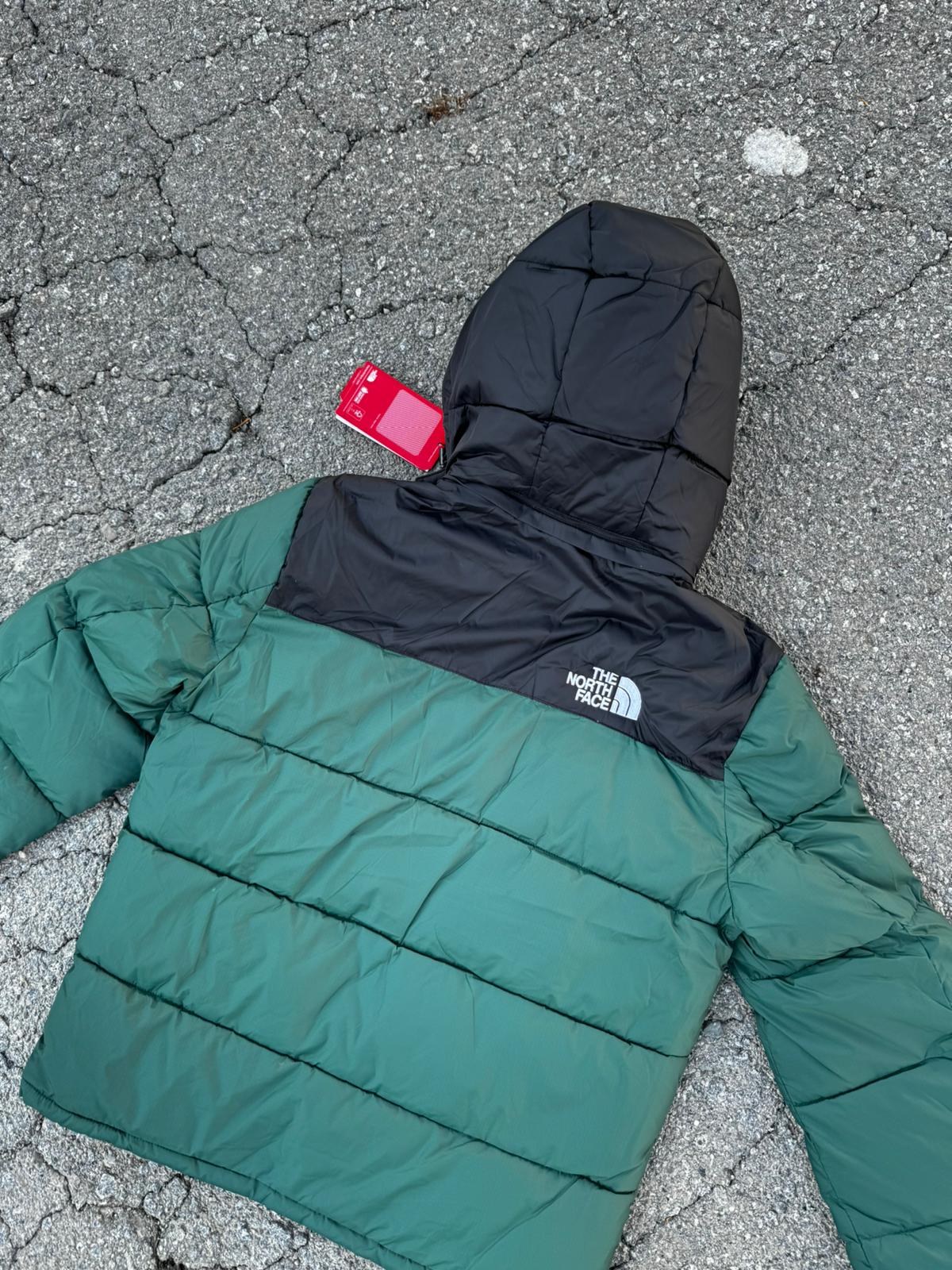 Chaqueton North Face verde y negro