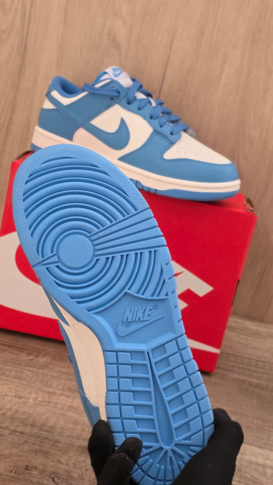Nike dunk azul