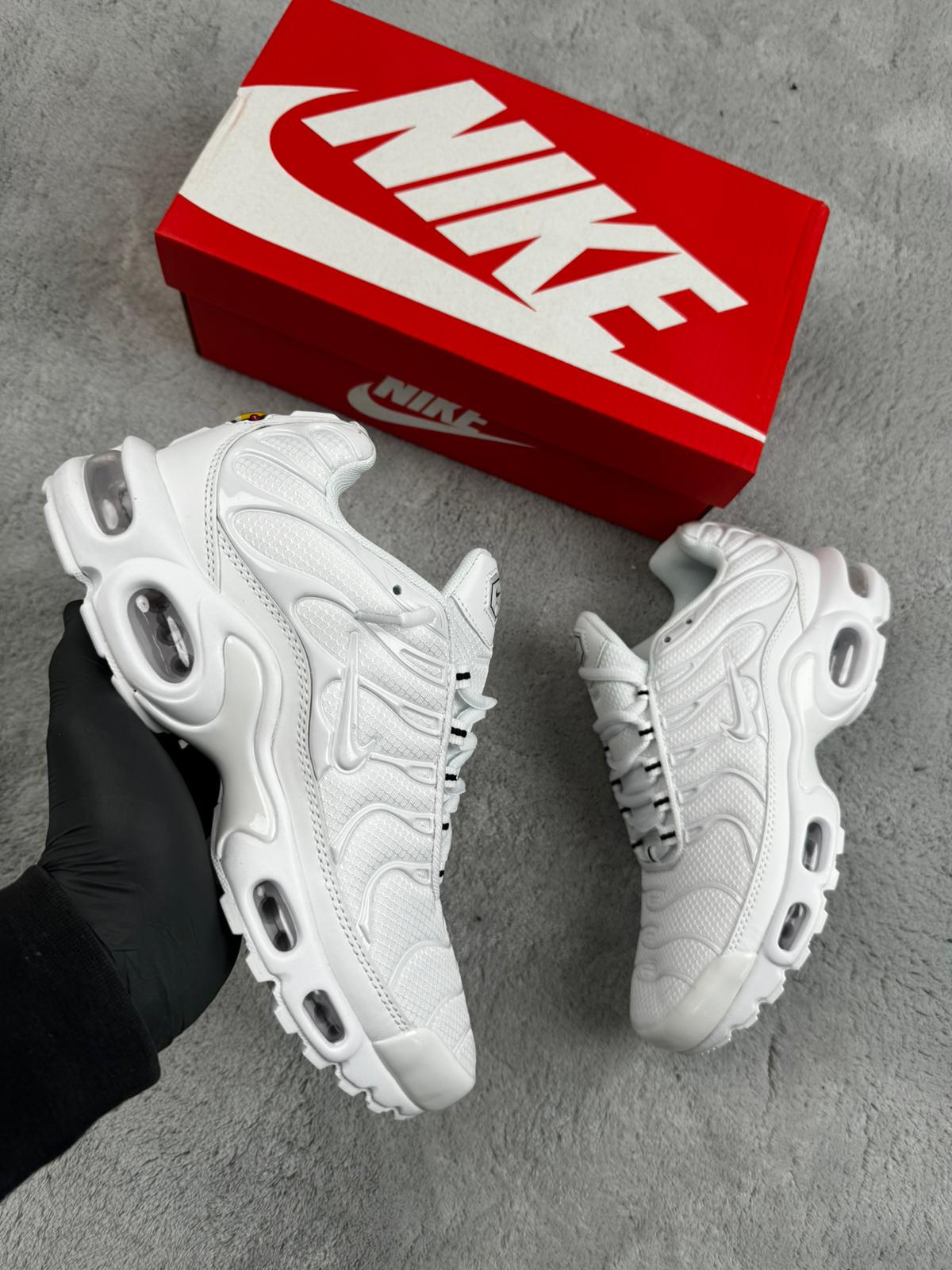 Nike tn blanca entera