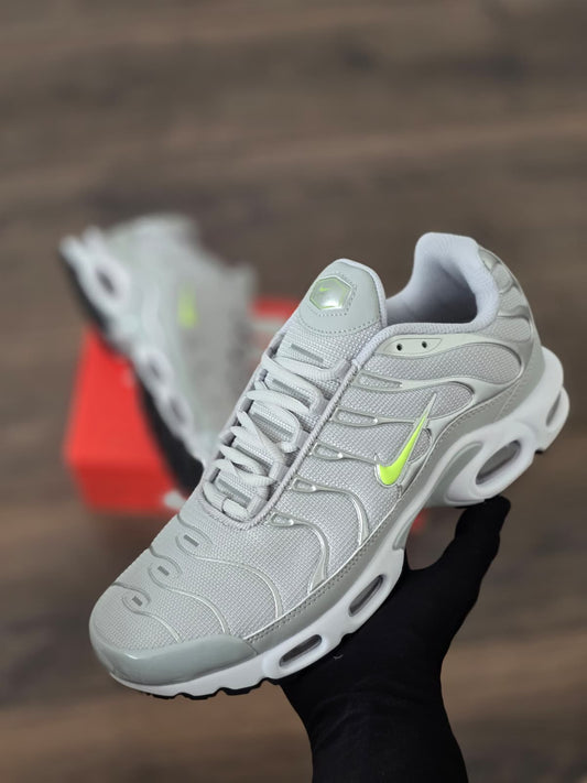 Tn gris logo verde